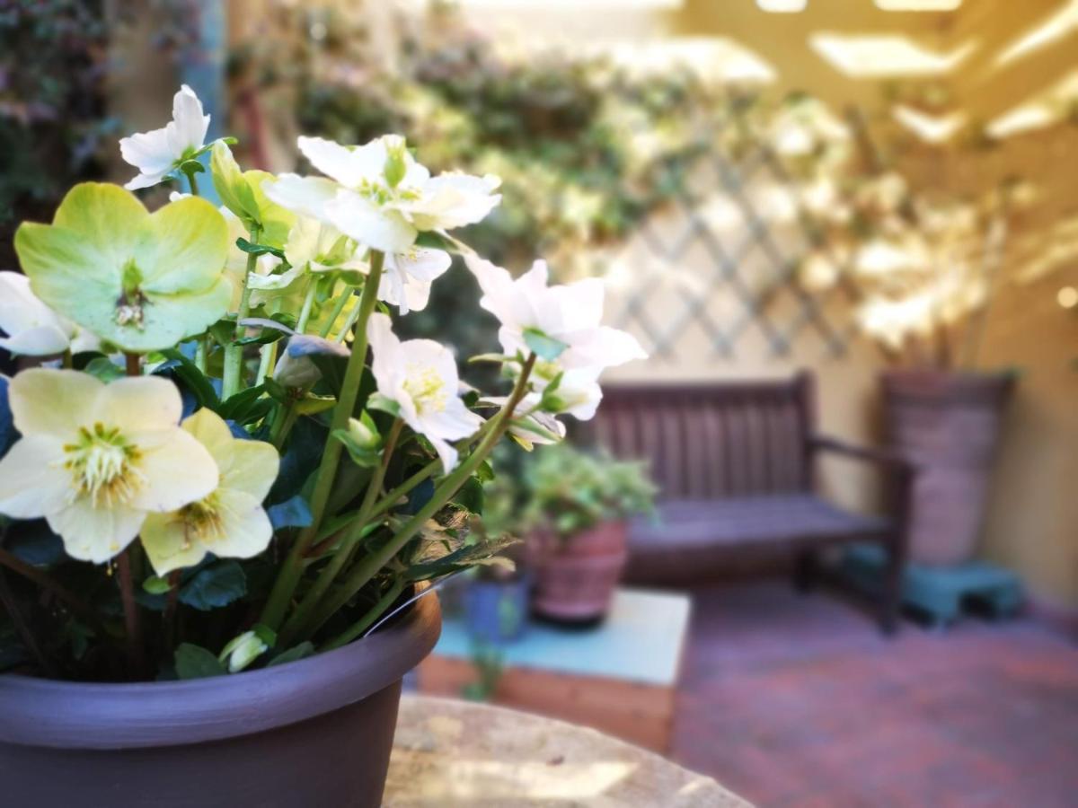 Casapatrizia Art B&B SantʼArcangelo di Romagna Dış mekan fotoğraf